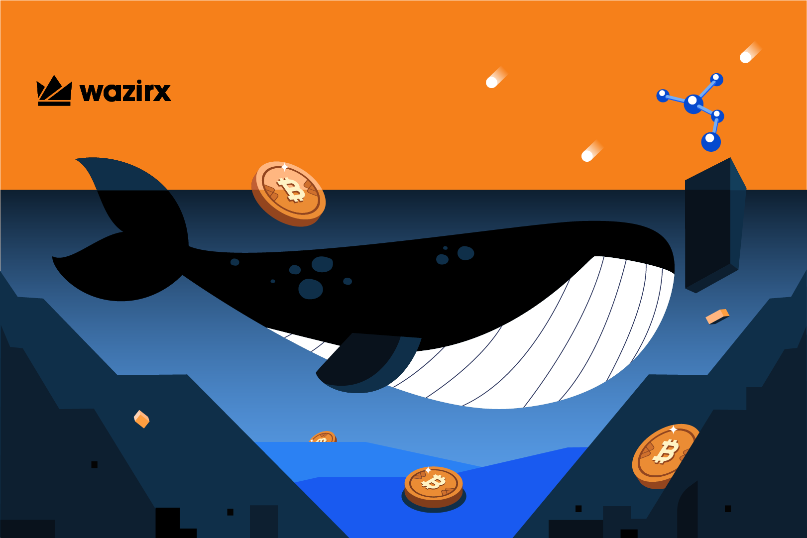 Which Is The Best Crypto Whale Tracker? Why Are They Crucial? WazirX Blog