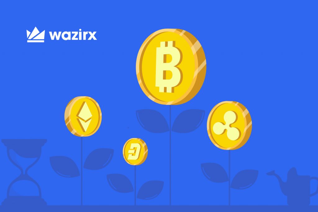 Top Cryptocurrency To Consider For Long Term Investments - WazirX