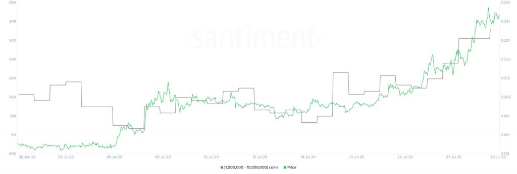 XRP Holder Distribution vs. Price