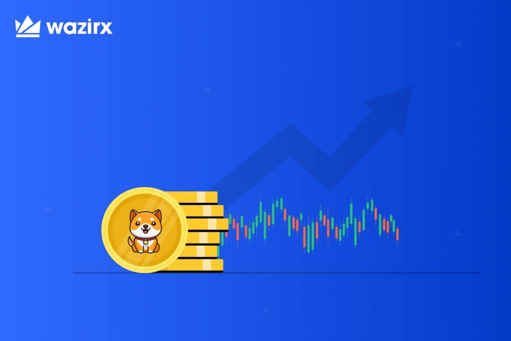 Is baby dogecoin cryptocurrency worth the hype_WazirX