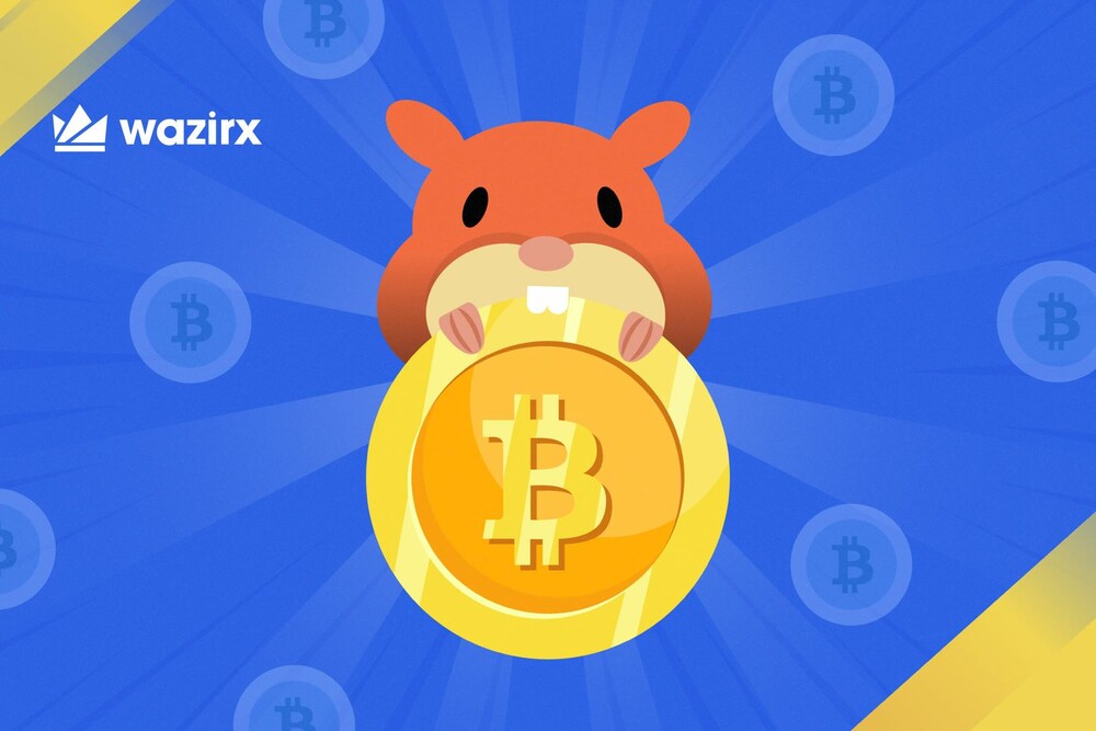 Is this Hamster, Mr Goxx, probably a better Crypto Trader?