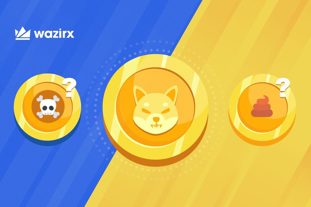 Is Shiba Inu a DogeCoin Killer or a Shit Coin?