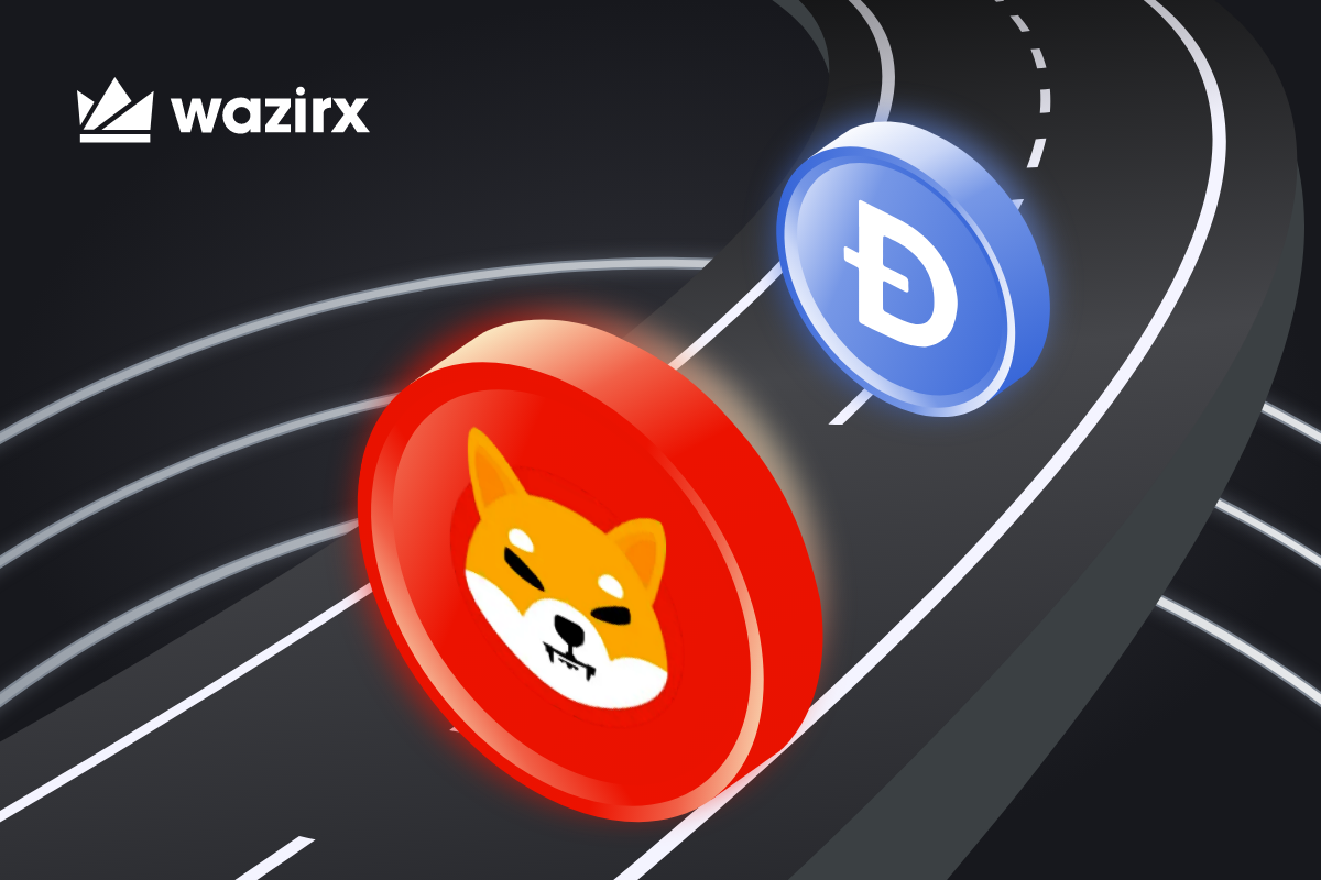 All you need to know about Shiba Inu taking over Dogecoin - WazirX
