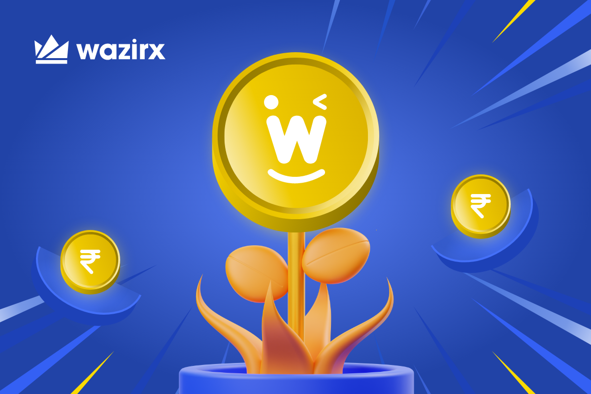 Investing in Wink coin Is it a good investment option