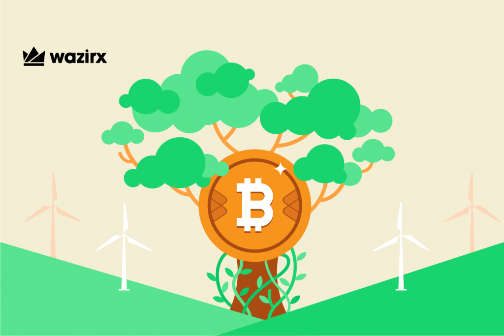 Digging into Green Crypto: Easy Ways to Mine Sustainably