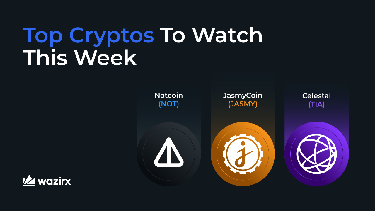 Jasmy coin apple (89) 사진