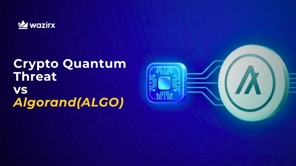 ALGO surged 50% after Google's quantum AI paper named Algorand 32 times as the live benchmark for post-quantum blockchain security.