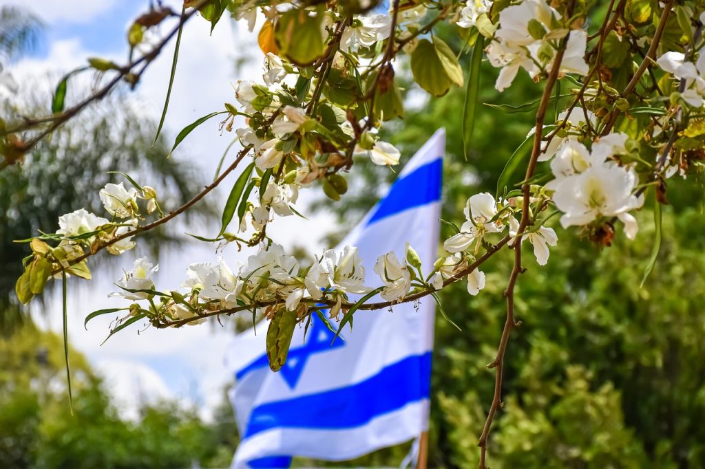 israeli flag, flowers, spring-4404258.jpg
